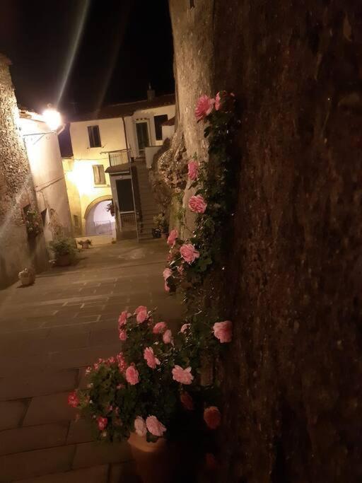 Casa Il Girasole Villa Boccheggiano Bagian luar foto