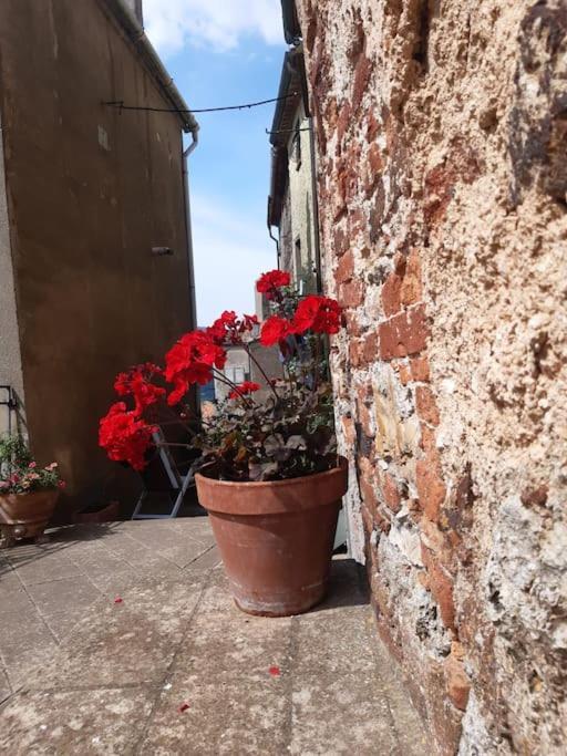 Casa Il Girasole Villa Boccheggiano Bagian luar foto