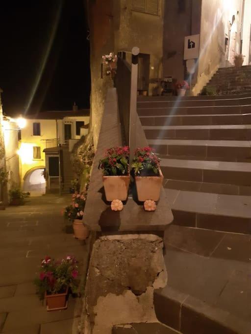 Casa Il Girasole Villa Boccheggiano Bagian luar foto