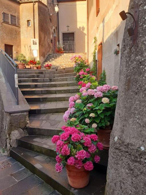 Casa Il Girasole Villa Boccheggiano Bagian luar foto