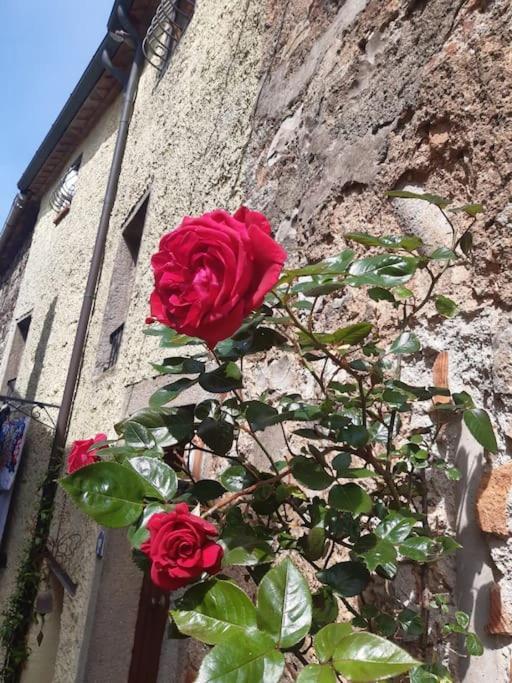 Casa Il Girasole Villa Boccheggiano Bagian luar foto